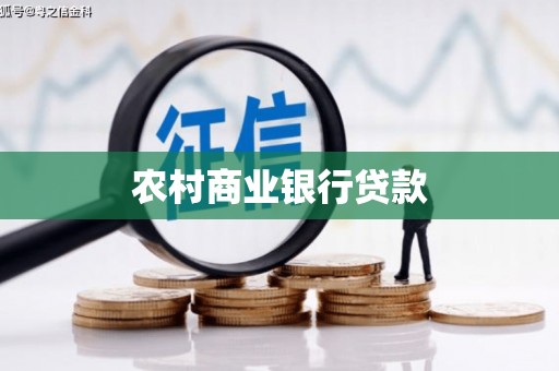 共和农村商业银行贷款