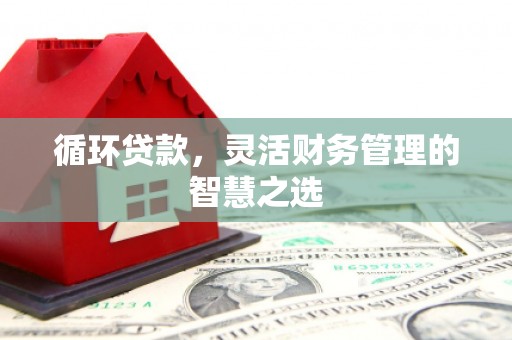 共和循环贷款，灵活财务管理的智慧之选