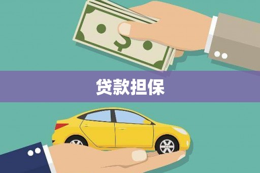 共和贷款担保