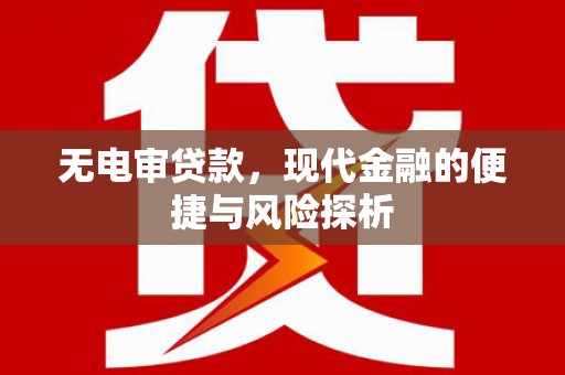 共和无电审贷款，现代金融的便捷与风险探析