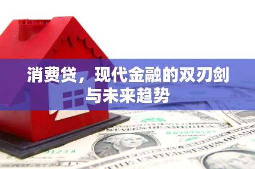 共和消费贷，现代金融的双刃剑与未来趋势