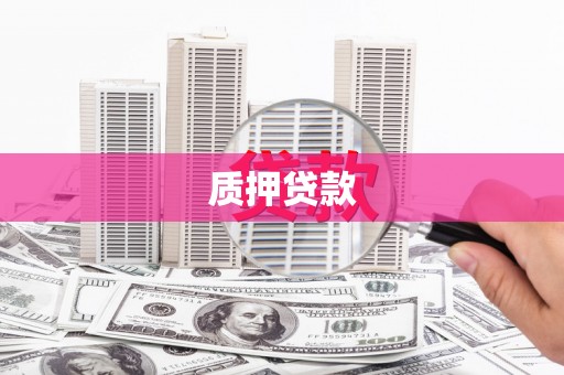 共和质押贷款