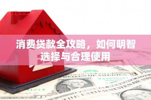 共和消费贷款全攻略，如何明智选择与合理使用