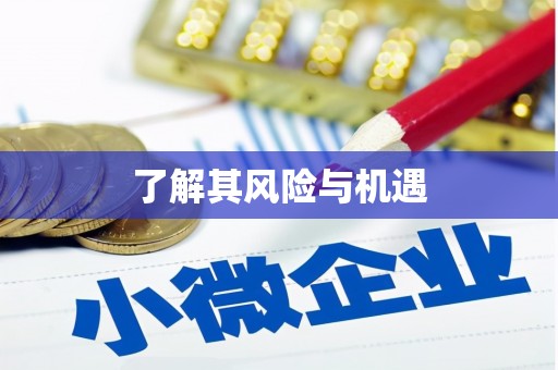 共和了解其风险与机遇