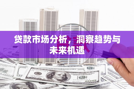 共和贷款市场分析，洞察趋势与未来机遇