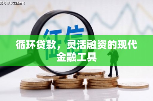 共和循环贷款，灵活融资的现代金融工具