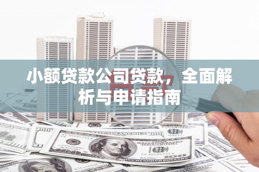 共和小额贷款公司贷款，全面解析与申请指南