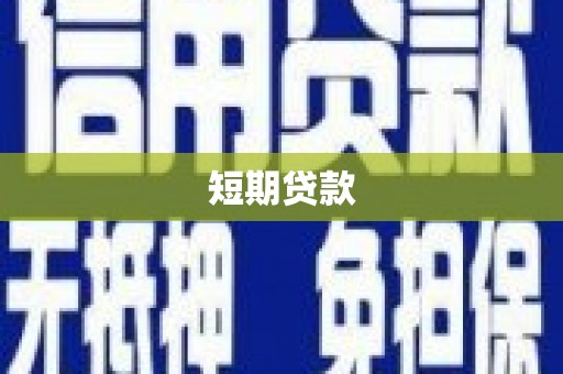 共和短期贷款
