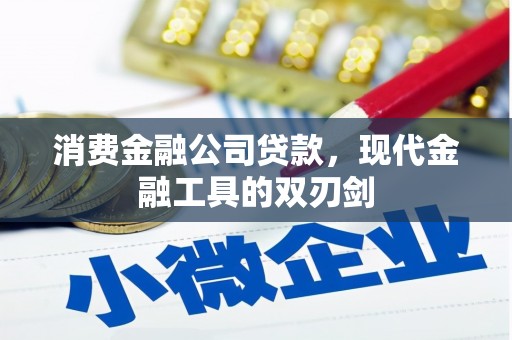 共和消费金融公司贷款，现代金融工具的双刃剑