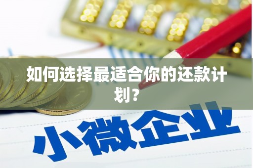 共和如何选择最适合你的还款计划？
