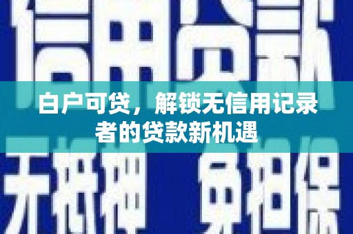 共和白户可贷，解锁无信用记录者的贷款新机遇
