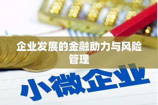 共和企业发展的金融助力与风险管理