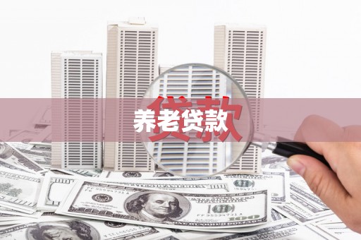 共和养老贷款