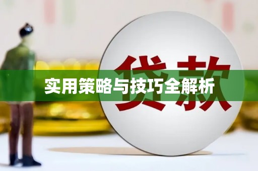 共和实用策略与技巧全解析