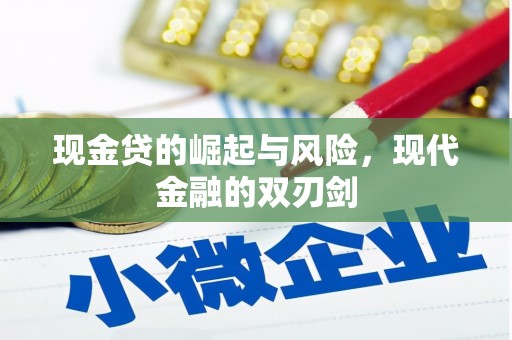 共和现金贷的崛起与风险，现代金融的双刃剑