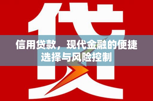 共和信用贷款，现代金融的便捷选择与风险控制