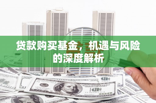 共和贷款购买基金，机遇与风险的深度解析