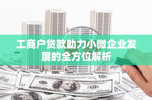 共和工商户贷款助力小微企业发展的全方位解析