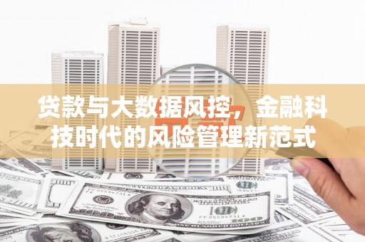 共和贷款与大数据风控，金融科技时代的风险管理新范式