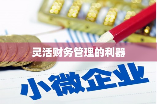 共和灵活财务管理的利器