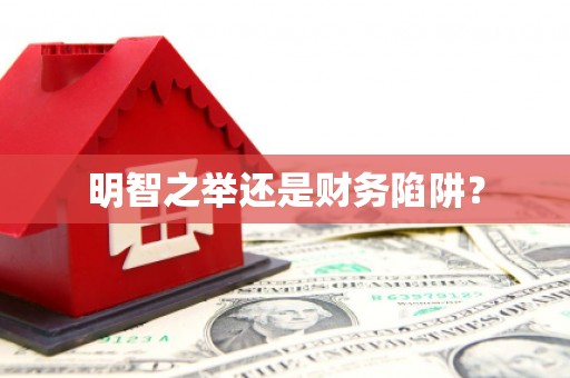 共和明智之举还是财务陷阱？