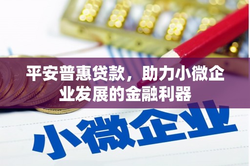 共和平安普惠贷款，助力小微企业发展的金融利器
