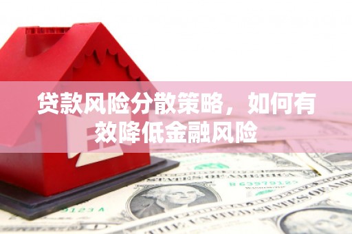 共和贷款风险分散策略，如何有效降低金融风险