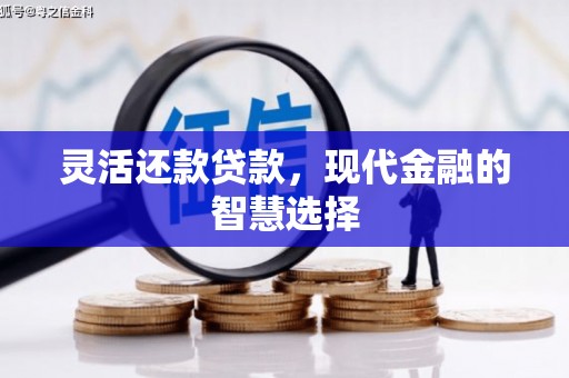 共和灵活还款贷款，现代金融的智慧选择