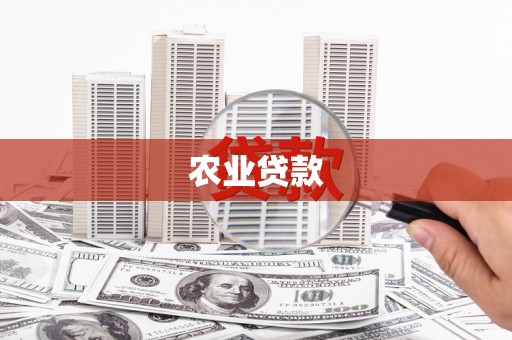 共和农业贷款
