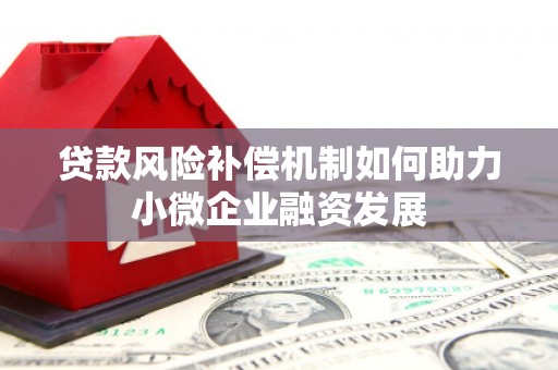 共和贷款风险补偿机制如何助力小微企业融资发展