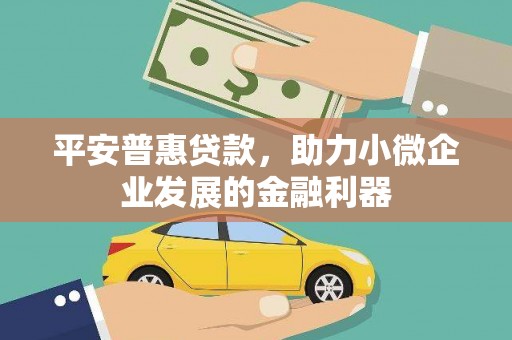 共和平安普惠贷款，助力小微企业发展的金融利器