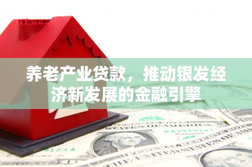 共和养老产业贷款，推动银发经济新发展的金融引擎