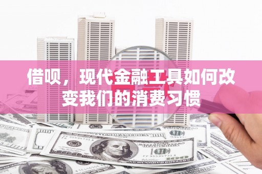 共和借呗，现代金融工具如何改变我们的消费习惯