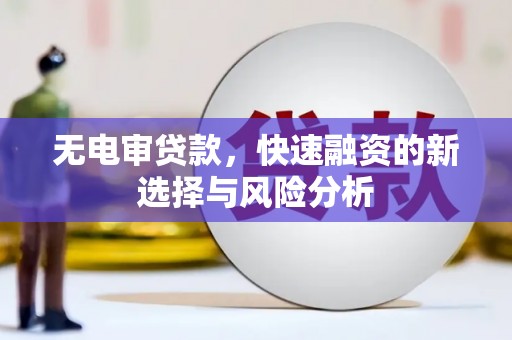 共和无电审贷款，快速融资的新选择与风险分析