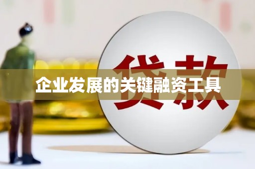 共和企业发展的关键融资工具