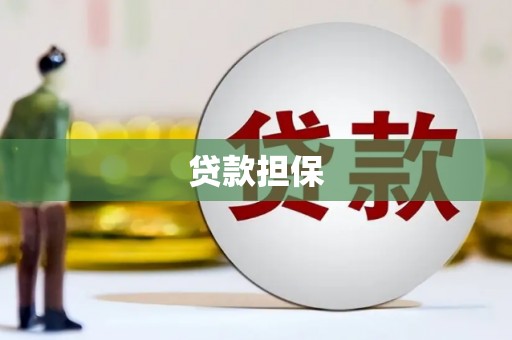 共和贷款担保