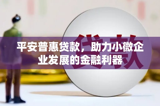 共和平安普惠贷款，助力小微企业发展的金融利器