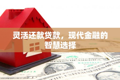 共和灵活还款贷款，现代金融的智慧选择