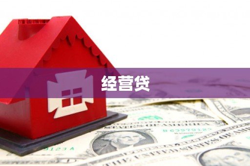 共和经营贷