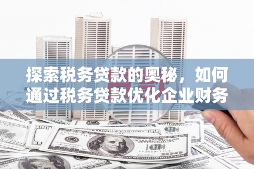 共和探索税务贷款的奥秘，如何通过税务贷款优化企业财务