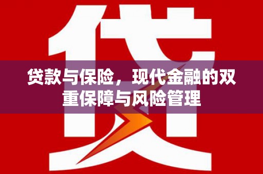 共和贷款与保险，现代金融的双重保障与风险管理