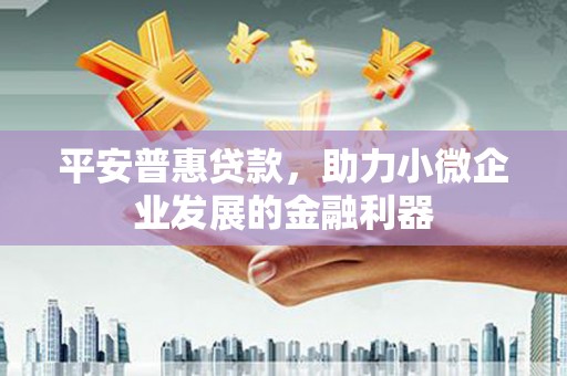 共和平安普惠贷款，助力小微企业发展的金融利器