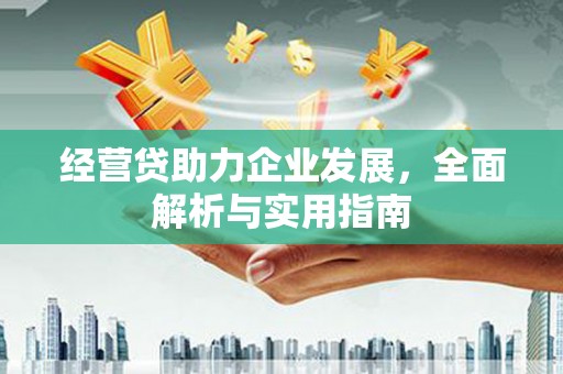 共和经营贷助力企业发展，全面解析与实用指南