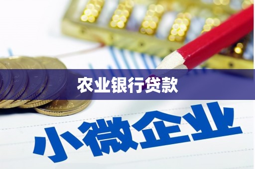 共和农业银行贷款