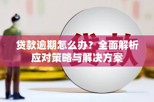 共和贷款逾期怎么办？全面解析应对策略与解决方案