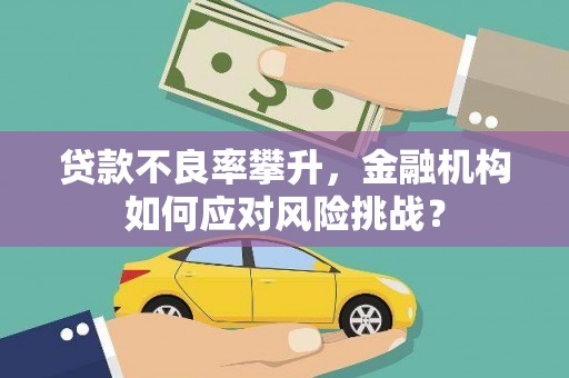 共和贷款不良率攀升，金融机构如何应对风险挑战？