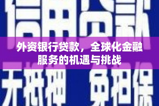 共和外资银行贷款，全球化金融服务的机遇与挑战