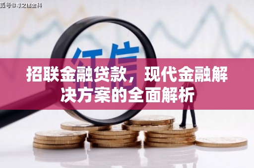 共和招联金融贷款，现代金融解决方案的全面解析