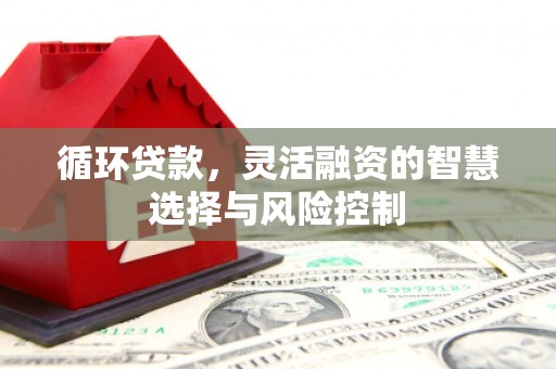 共和循环贷款，灵活融资的智慧选择与风险控制
