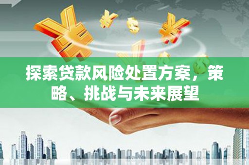 共和探索贷款风险处置方案，策略、挑战与未来展望